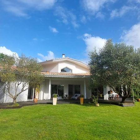 Agreable Maison Sur Le Bassin D'Arcachon Andernos-les-Bains Exteriér fotografie