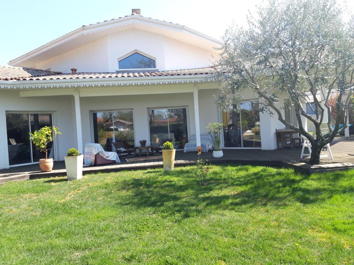 Agreable Maison Sur Le Bassin D'Arcachon Andernos-les-Bains Exteriér fotografie