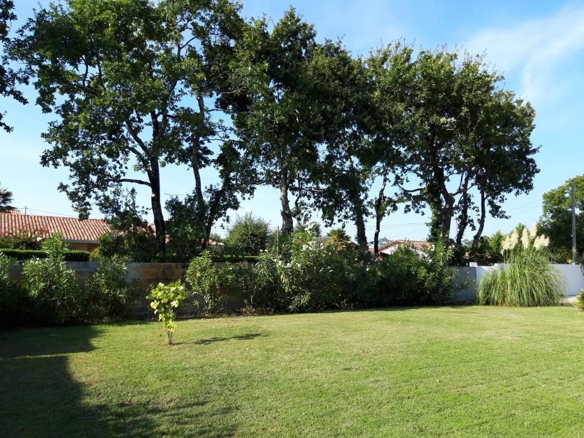 Agreable Maison Sur Le Bassin D'Arcachon Andernos-les-Bains Exteriér fotografie