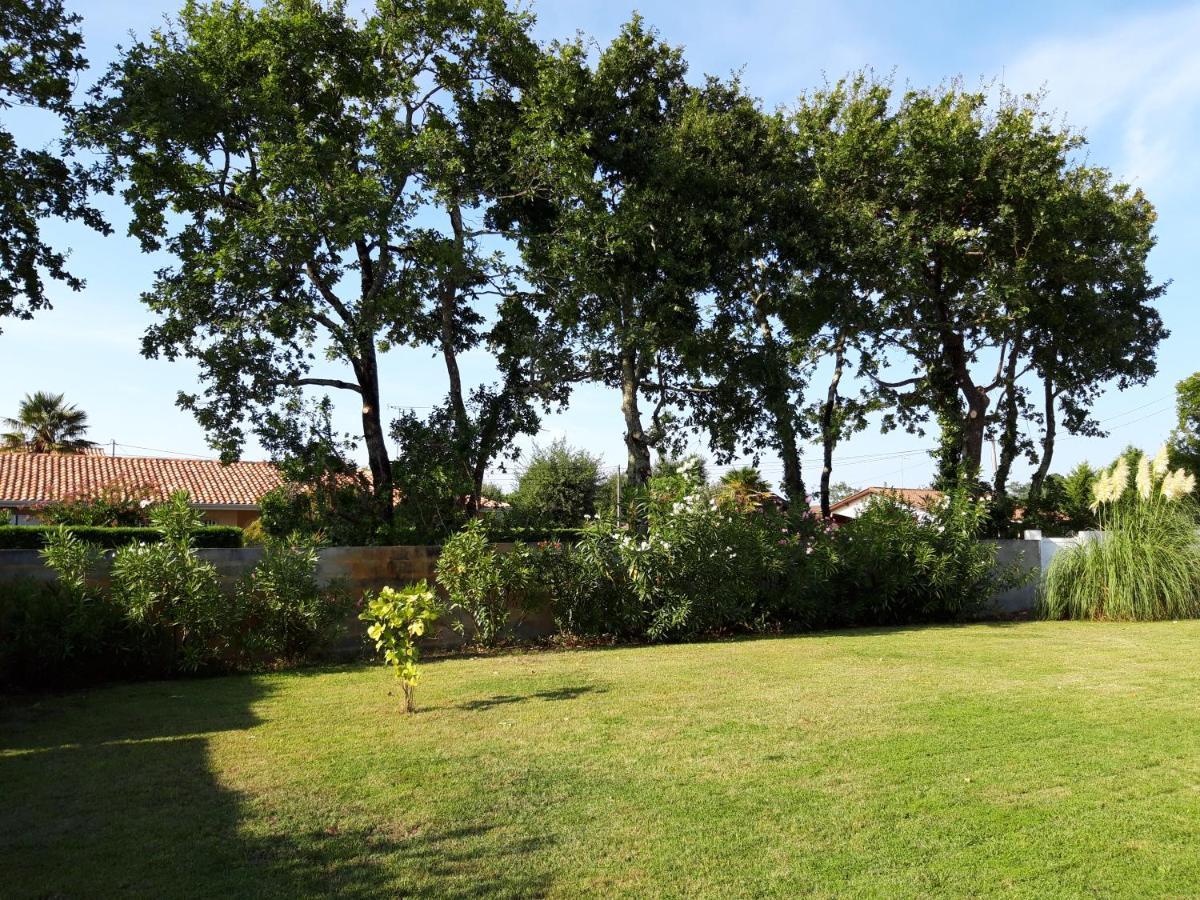 Agreable Maison Sur Le Bassin D'Arcachon Andernos-les-Bains Exteriér fotografie